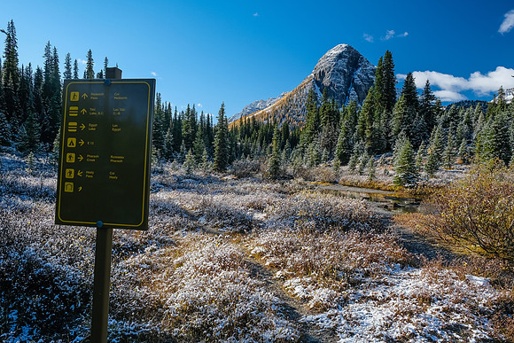 The trail to Talc / Redearth Pass is much less traveled.