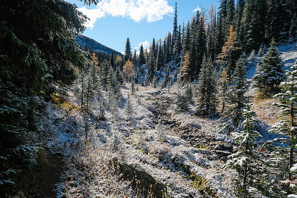 Hiking to Talc Lake on a carpet of fresh snow.