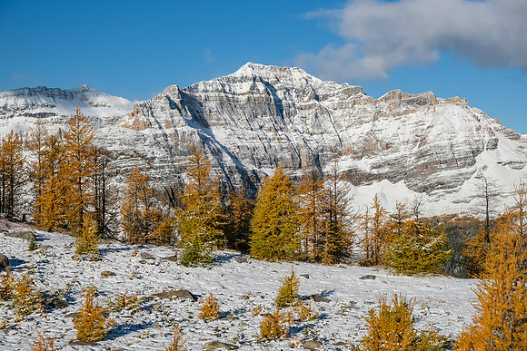 Scarab Peak.