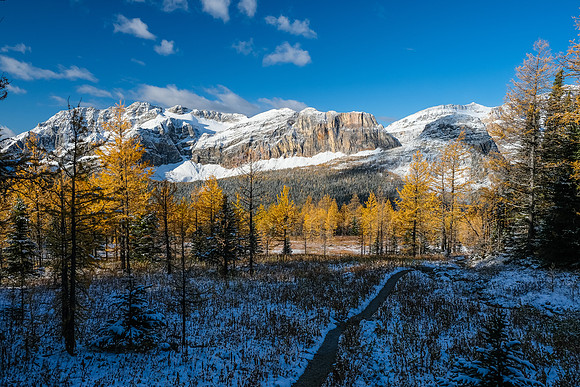 Descending from Healy Pass to Pharaoh Creek.