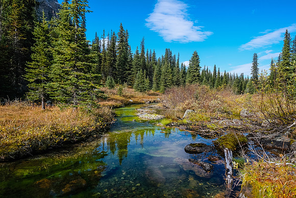 Traveling back down the Redearth Pass trail along Pharaoh Creek.