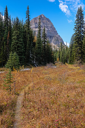 Traveling back down the Redearth Pass trail.