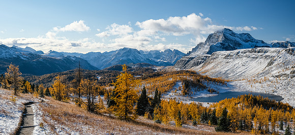 Hiking up to Healy Pass through a forest of larches. Views of The Monarch and Ramparts.