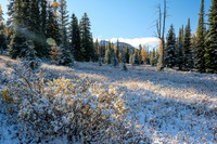 Descending from Healy Pass to Pharaoh Creek.