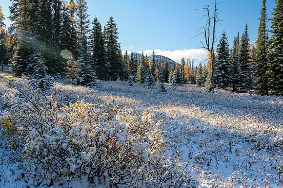 Descending from Healy Pass to Pharaoh Creek.