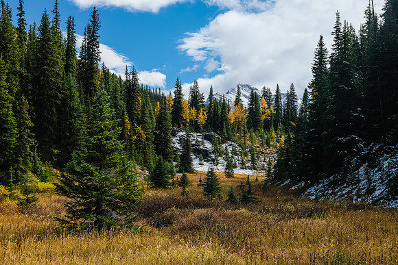 Views up towards Redearth Pass. The trail is really faint here.