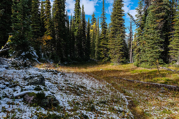 Descending the Talc Lake trail.