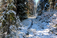 Hiking to Talc Lake on a carpet of fresh snow.