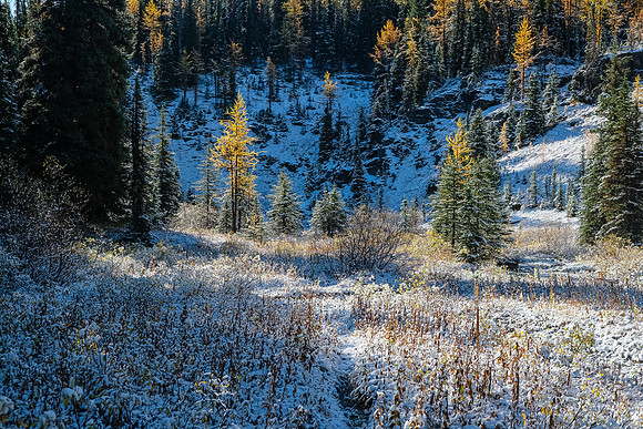 Hiking to Talc Lake on a carpet of fresh snow.