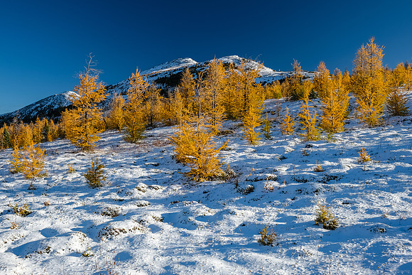 Healy Pass Peak.