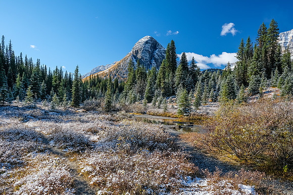 The trail to Talc / Redearth Pass is much less traveled.