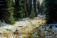 Descending the Talc Lake trail.