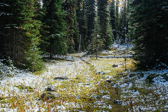 Descending the Talc Lake trail.