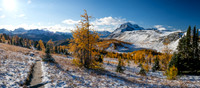 Hiking up to Healy Pass through a forest of larches. Views of The Monarch and Ramparts.