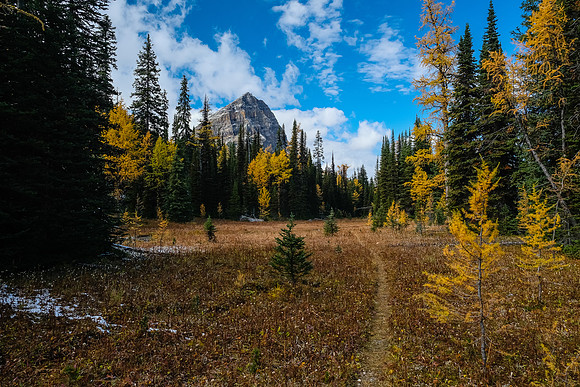 Descending the Talc Lake trail.