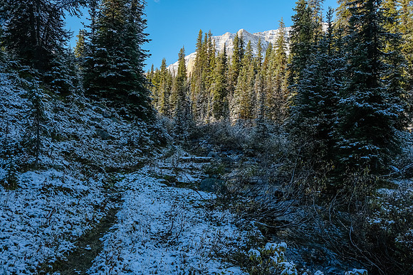 The trail to Talc / Redearth Pass is much less traveled.