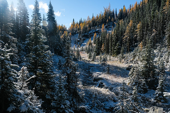 Hiking to Talc Lake on a carpet of fresh snow.