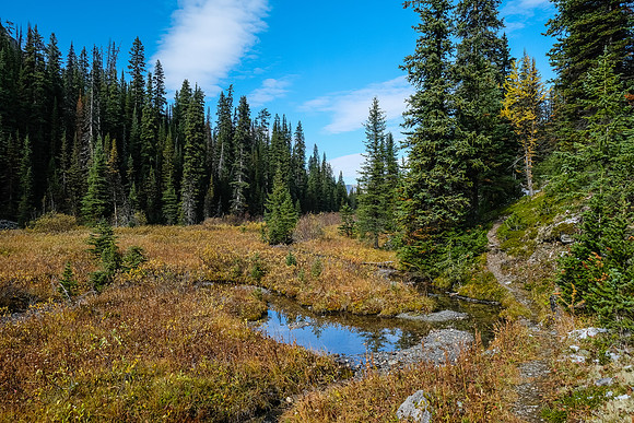 Traveling back down the Redearth Pass trail.