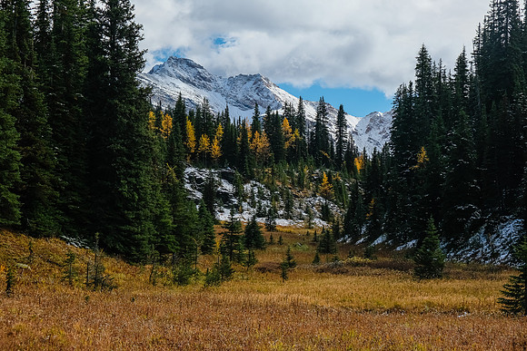 Traveling back down the Redearth Pass trail.