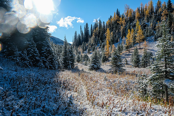 Hiking to Talc Lake on a carpet of fresh snow.