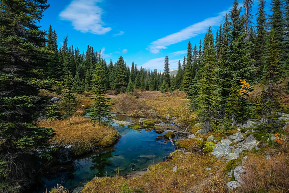 Traveling back down the Redearth Pass trail along Pharaoh Creek.
