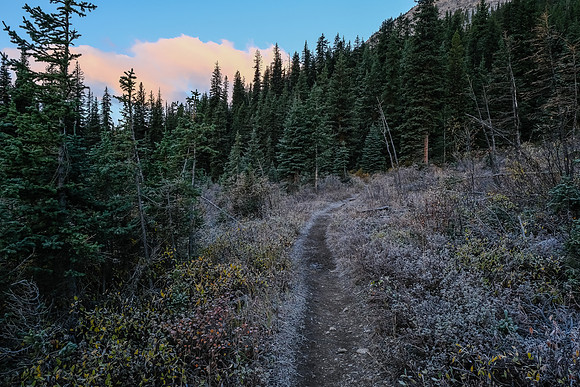 Hiking up a solidly frozen Healy Creek Trail.