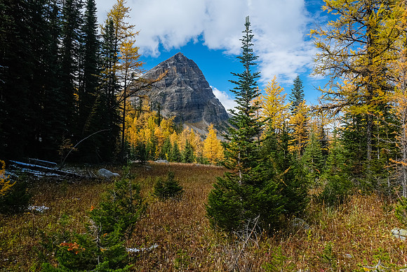 Descending the Talc Lake trail.