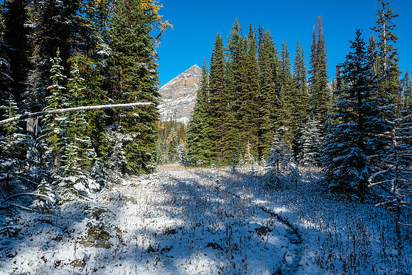Hiking to Talc Lake on a carpet of fresh snow.