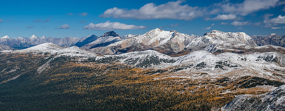 The Massive Range always shows off its larches well.