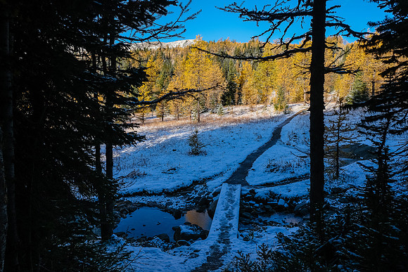 Breaking into the Healy Meadows.
