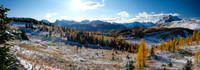 Hiking up to Healy Pass through a forest of larches. Views of The Monarch and Ramparts.