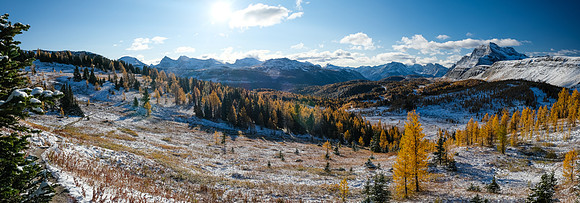 Hiking up to Healy Pass through a forest of larches. Views of The Monarch and Ramparts.