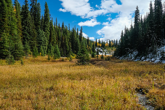 Views up towards Redearth Pass. The trail is really faint here.