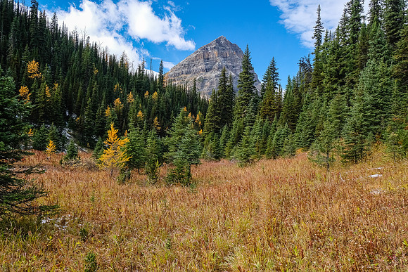 Traveling back down the Redearth Pass trail.
