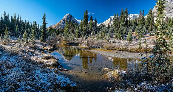 The trail to Talc / Redearth Pass is much less traveled.