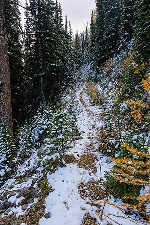 Descending the Talc Lake trail.