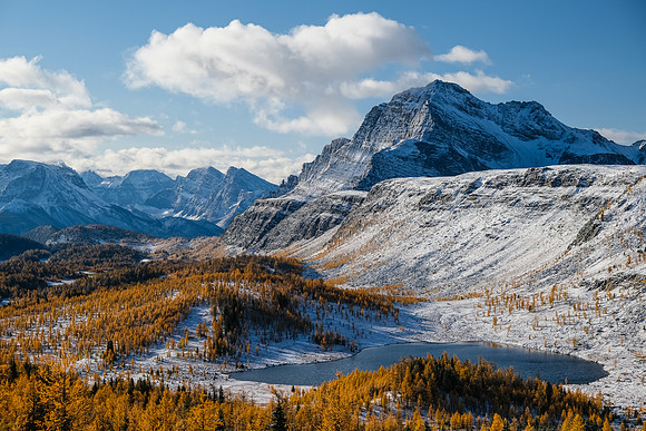 Hiking up to Healy Pass through a forest of larches. Views of The Monarch and Ramparts.