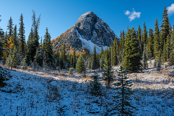 Hiking towards The Sphinx up Pharaoh Creek.
