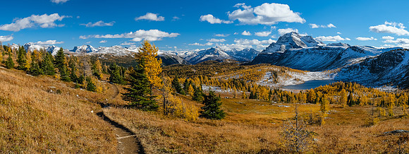 Hiking down from Healy Pass to the Healy Creek trail. Stunning larch views to The Monarch.