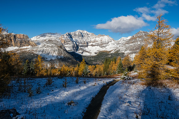 Descending from Healy Pass to Pharaoh Creek.