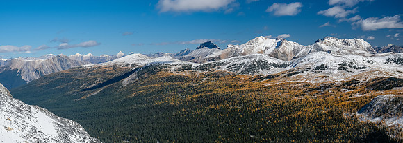 Colorful forests above Redearth and Pharaoh Creeks.