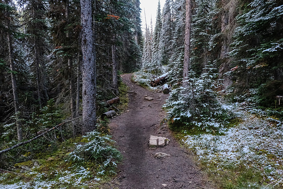 Hiking up a frosty Healy Creek trail.