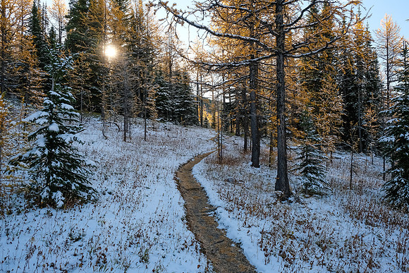 Descending from Healy Pass to Pharaoh Creek.
