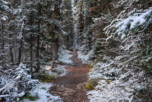 Hiking up a snowy Healy Creek trail.