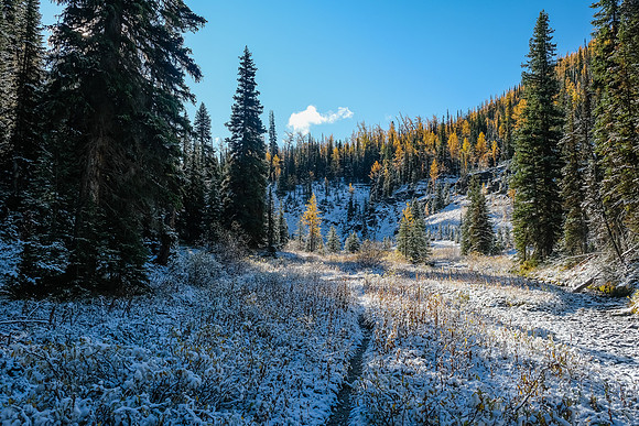 Hiking to Talc Lake on a carpet of fresh snow.