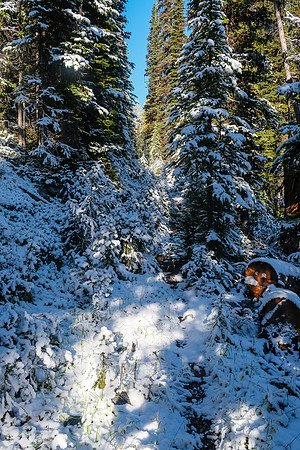 Hiking to Talc Lake on a carpet of fresh snow.