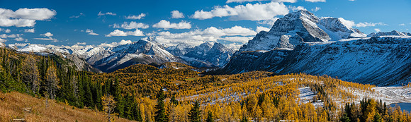 Hiking down from Healy Pass to the Healy Creek trail. Stunning larch views to The Monarch.