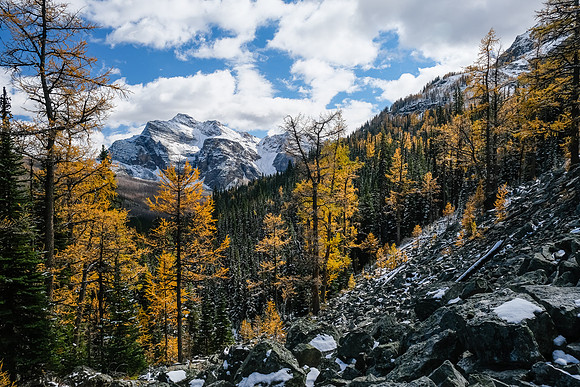 Descending the Talc Lake trail.