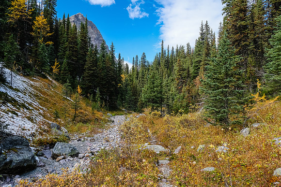 Traveling back down the Redearth Pass trail.