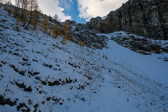 Ascending an old road up to the east ridge.